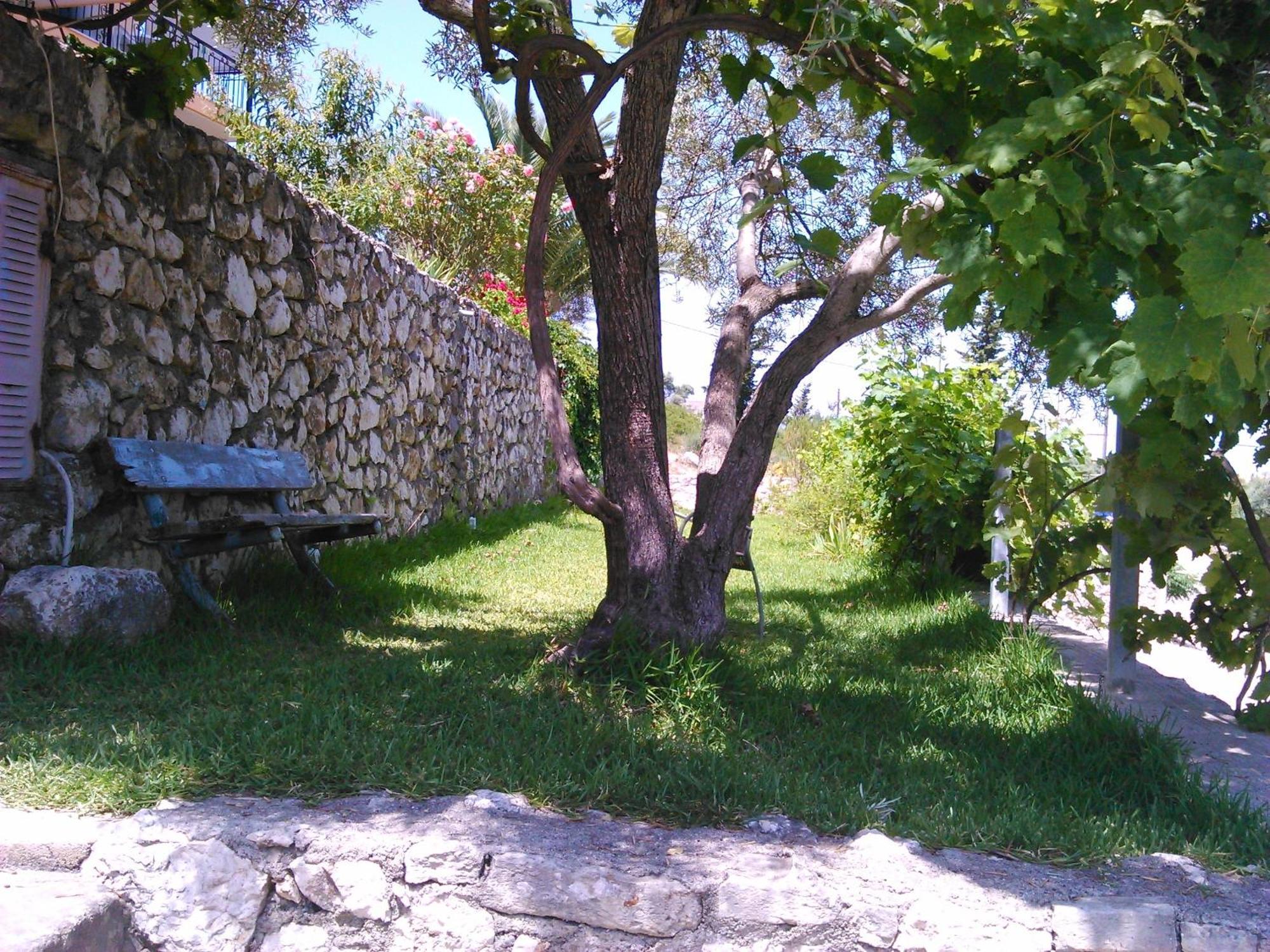 Pansion Laertes Apartment Tsoukaladhes Exterior photo